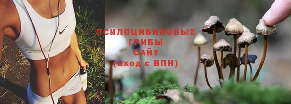 бошки Сатка