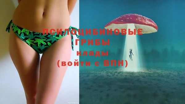 спайс Саяногорск