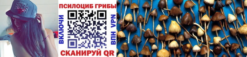 Псилоцибиновые грибы мицелий  где продают   Серафимович 